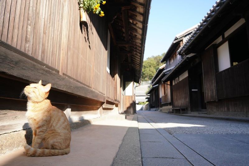 塩飽本島の笠島まち並み保存地区